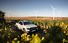 Test drive Ford Ranger - Poza 32