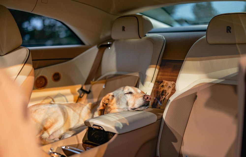Rolls-Royce Spectre Bailey: exemplarul unicat aduce un omagiu câinelui proprietarului - Poza 2