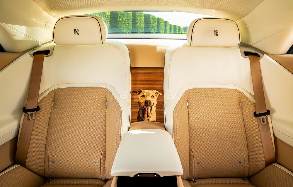 Rolls-Royce Spectre Bailey: exemplarul unicat aduce un omagiu câinelui proprietarului - Poza 3