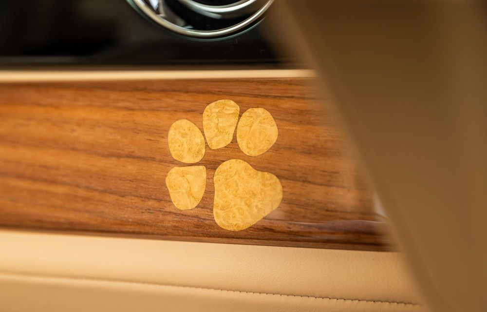 Rolls-Royce Spectre Bailey: exemplarul unicat aduce un omagiu câinelui proprietarului - Poza 4