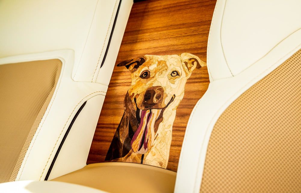 Rolls-Royce Spectre Bailey: exemplarul unicat aduce un omagiu câinelui proprietarului - Poza 5
