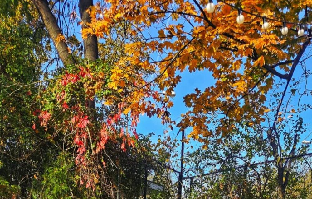 Nissan se relansează în România. Portofoliu format din 3 SUV-uri și două utilitare - Poza 2 Nissan se relansează în România. Portofoliu format din 3 SUV-uri și două utilitare - Poza 2