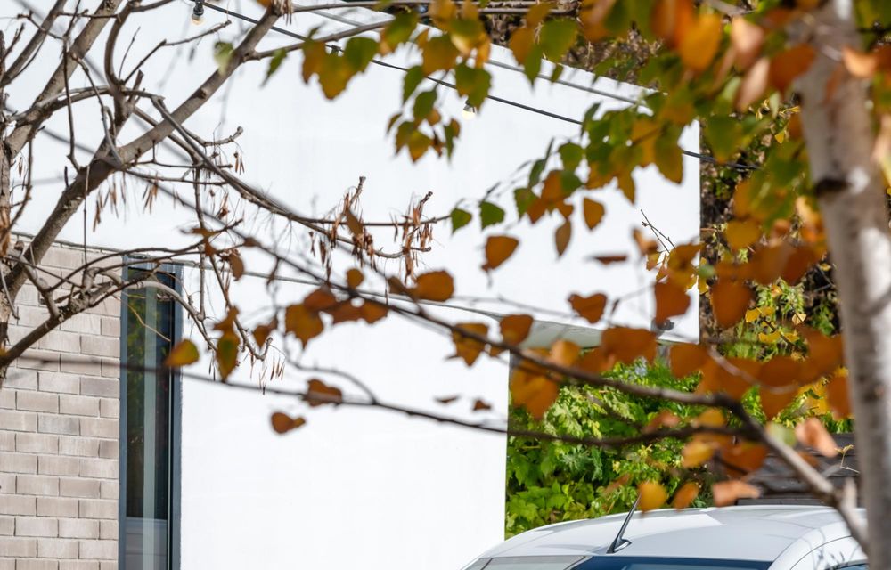 Nissan se relansează în România. Portofoliu format din 3 SUV-uri și două utilitare - Poza 4 Nissan se relansează în România. Portofoliu format din 3 SUV-uri și două utilitare - Poza 4