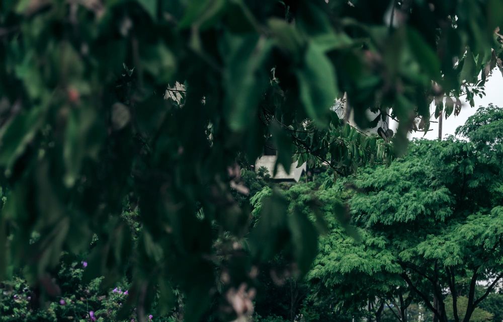 Noul Ram Rampage, un pick-up american pentru piața europeană - Poza 9