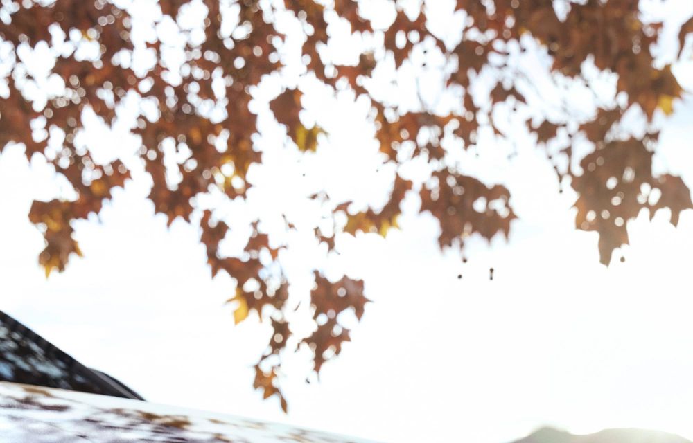 Noi detalii Volkswagen ID.Polo: autonomie de 450 de kilometri - Poza 70