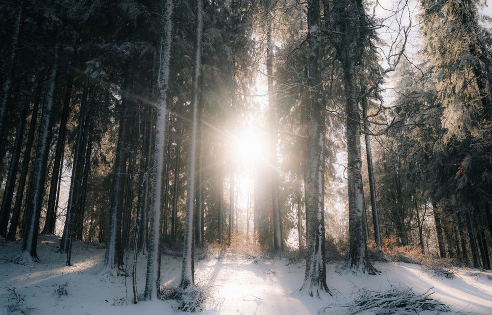 REPORTAJ: Am căutat confortul absolut pe drumurile României cu noul Citroen C5 Aircross - Poza 23