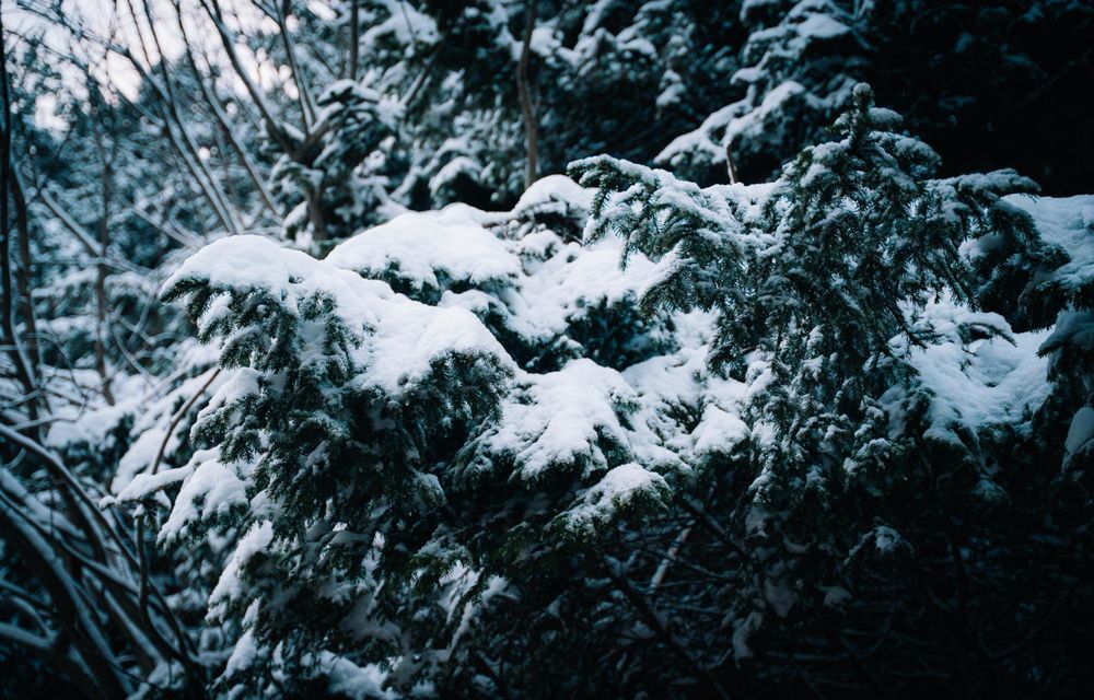 REPORTAJ: Am căutat confortul absolut pe drumurile României cu noul Citroen C5 Aircross - Poza 123