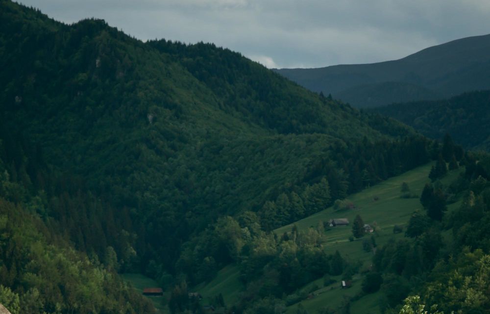 REPORTAJ: La granița dintre confort și aventură: Range Rover Experience în inima munților - Poza 22
