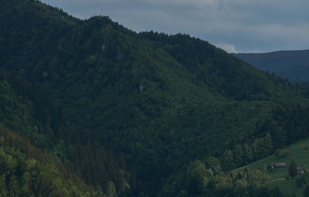 REPORTAJ: La granița dintre confort și aventură: Range Rover Experience în inima munților - Poza 7