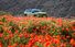 Test drive Jeep Compass - Poza 4