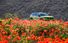 Test drive Jeep Compass - Poza 3