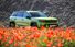 Test drive Jeep Compass - Poza 5