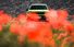Test drive Jeep Compass - Poza 8