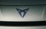 Test drive Cupra Terramar - Poza 15