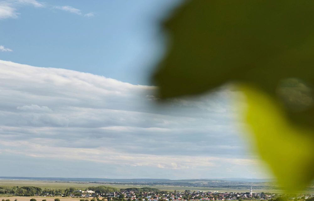 Primele imagini cu noul Volkswagen ID. Tiguan: prezentare în octombrie - Poza 50 Primele imagini cu noul Volkswagen ID. Tiguan: prezentare în octombrie - Poza 50