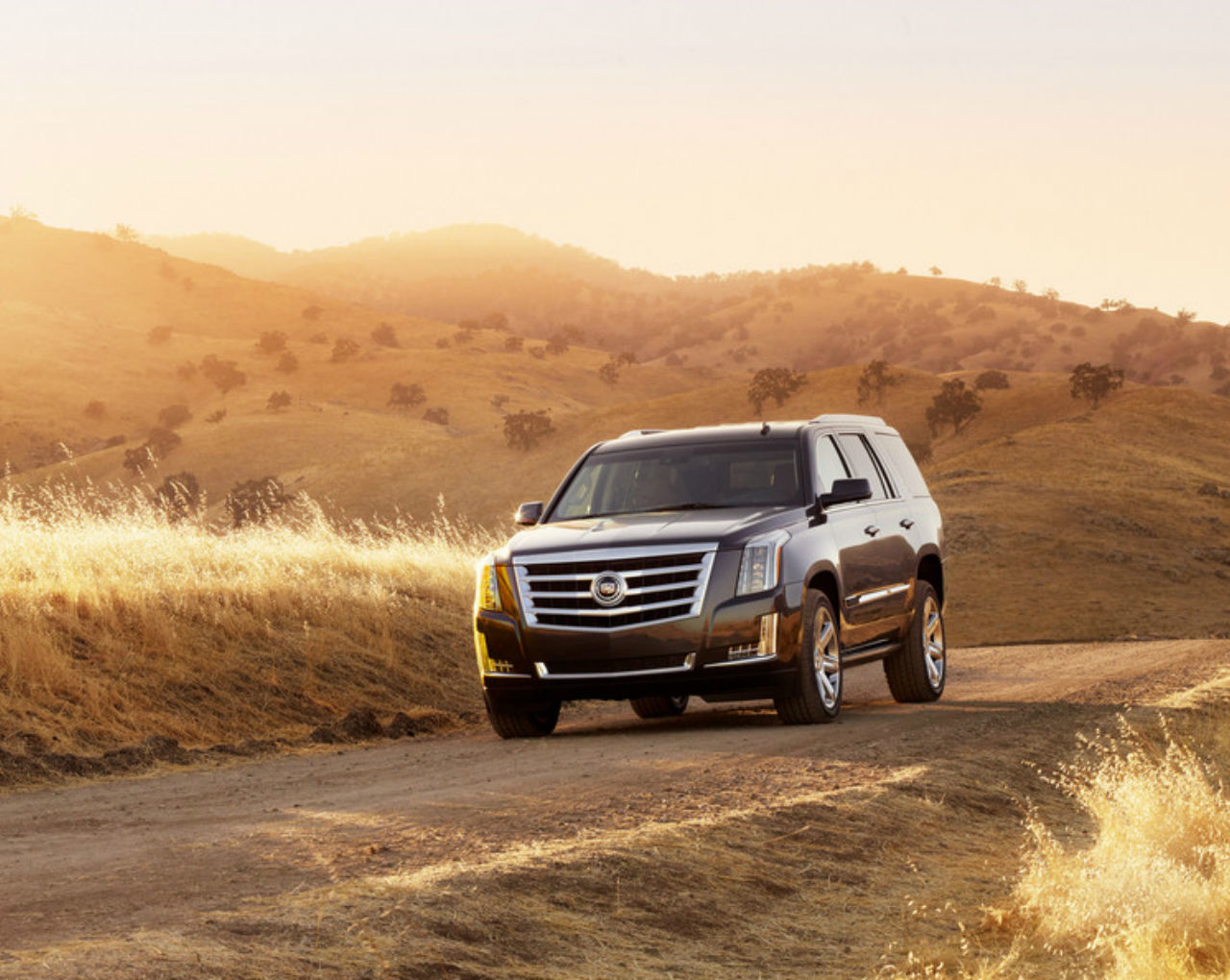 Cadillac Escalade 2015 бездорожье